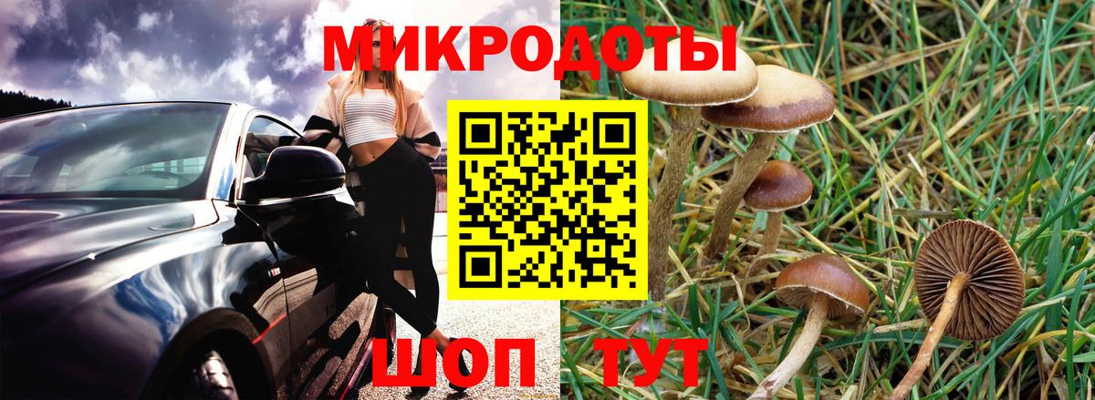 Псилоцибиновые грибы MAGIC MUSHROOMS  Псилоцибиновые грибы Psilocybine cubensis  Вход с VPN  Махачкала 