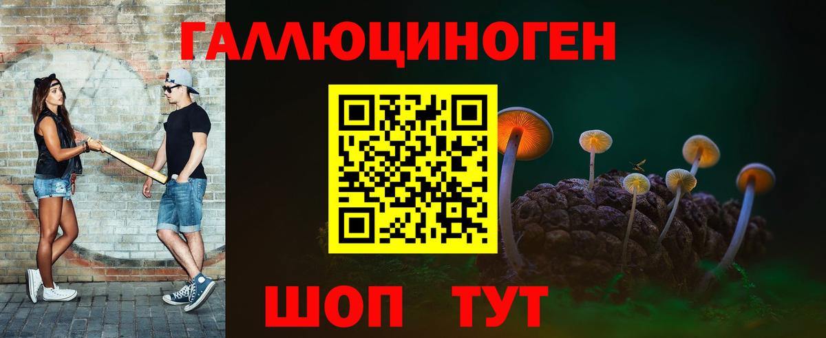 Псилоцибиновые грибы Cubensis Махачкала